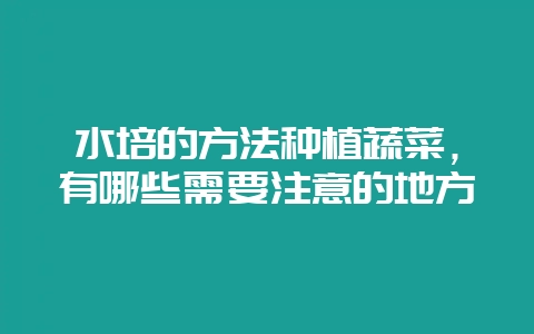 水培的方法种植蔬菜，有哪些需要注意的地方-会东网