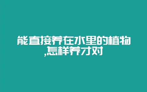 能直接养在水里的植物,怎样养才对-会东网