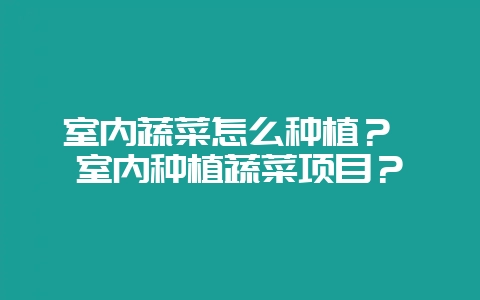 室内蔬菜怎么种植？ 室内种植蔬菜项目？-会东网