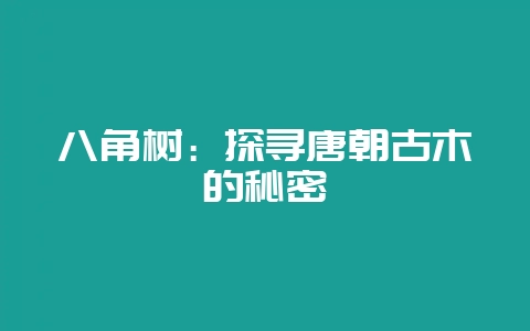 八角树：探寻唐朝古木的秘密-会东网