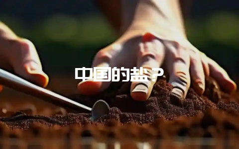 中国的盐?-会东网