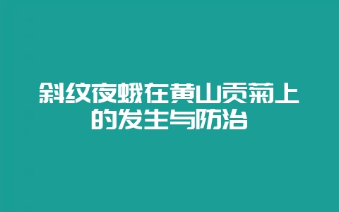 斜纹夜蛾在黄山贡菊上的发生与防治-会东网