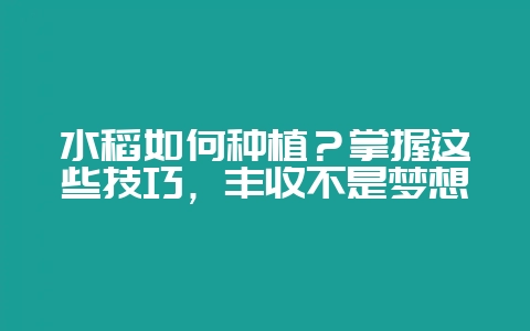 水稻如何种植？掌握这些技巧，丰收不是梦想-会东网
