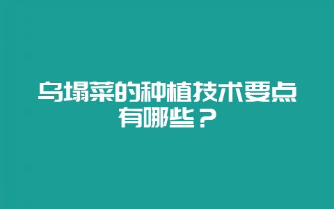 乌塌菜的种植技术要点有哪些？-会东网