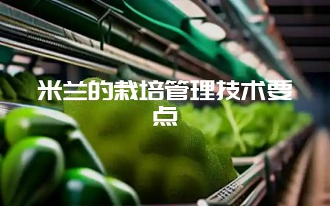 米兰的栽培管理技术要点-会东网