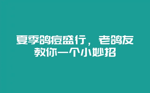 夏季鸽痘盛行，老鸽友教你一个小妙招-会东网