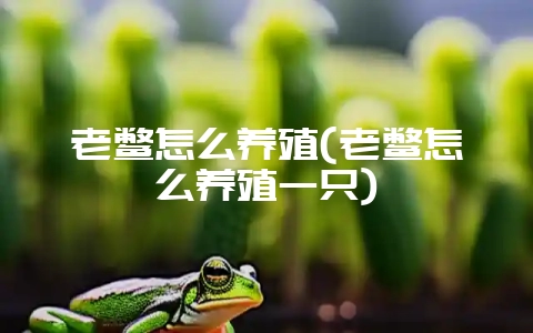 老鳖怎么养殖(老鳖怎么养殖一只)-会东网