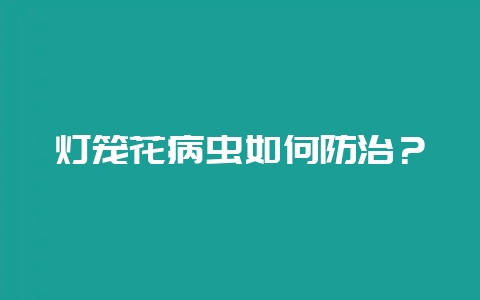 灯笼花病虫如何防治？-会东网