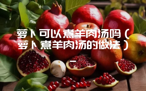 萝卜可以煮羊肉汤吗(萝卜煮羊肉汤的做法)_插图 萝卜可以煮羊肉汤吗(萝卜煮羊肉汤的做法)_插图