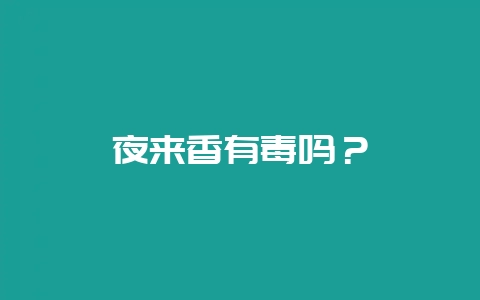 夜来香有毒吗?插图 夜来香有毒吗?插图