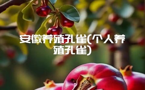 安徽养殖孔雀(个人养殖孔雀)-会东网