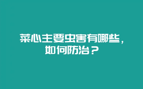菜心主要虫害有哪些，如何防治？-会东网