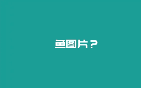 鲇鱼图片？-会东网