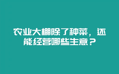 农业大棚除了种菜,还能经营哪些生意?-会东网