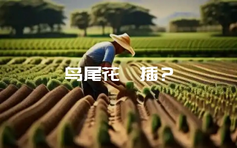 鸟尾花扦插？-会东网