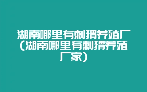 湖南哪里有刺猬养殖厂(湖南哪里有刺猬养殖厂家)插图 湖南哪里有刺猬养殖厂(湖南哪里有刺猬养殖厂家)插图