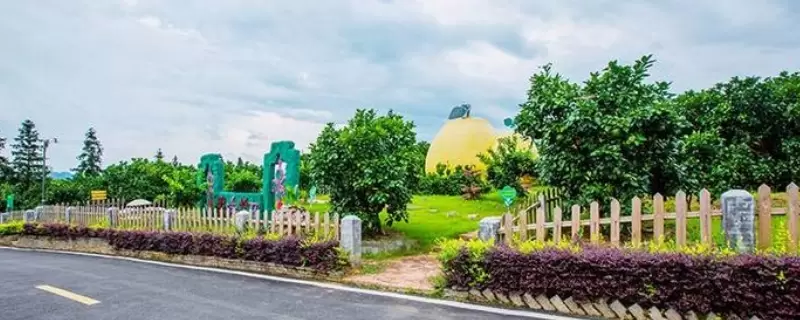 会东县S468公路最新消息:建设进度、通车时间及路线规划全解析-会东网