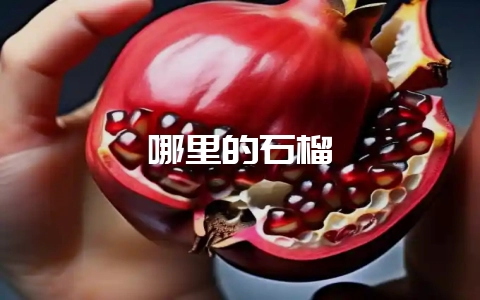 哪里的石榴-会东网