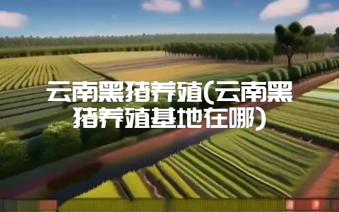 云南黑猪养殖(云南黑猪养殖基地在哪)-会东网