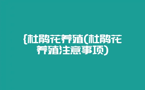 {杜鹃花养殖(杜鹃花养殖注意事项)-会东网