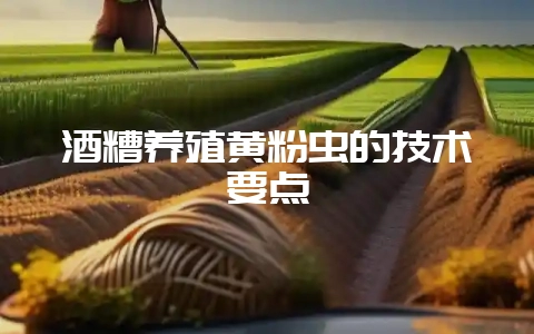 酒糟养殖黄粉虫的技术要点-会东网