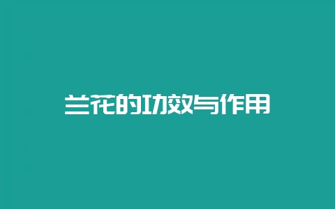 兰花的功效与作用-会东网