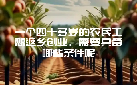 一个四十多岁的农民工想返乡创业,需要具备哪些条件呢-会东网