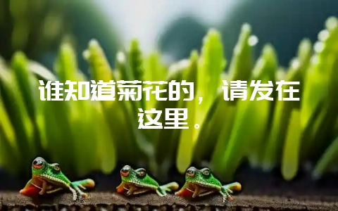 谁知道菊花的,请发在这里。插图 谁知道菊花的,请发在这里。插图