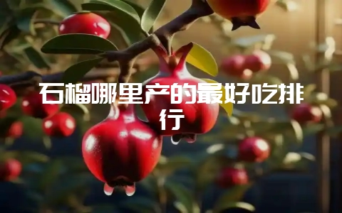 石榴哪里产的最好吃排行-会东网