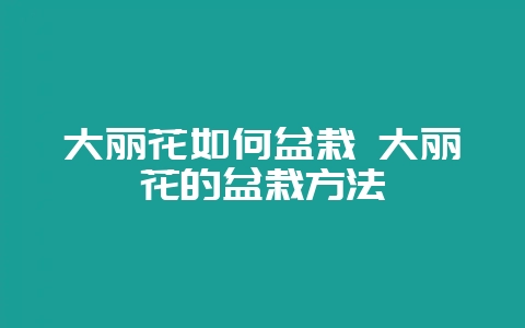 大丽花如何盆栽 大丽花的盆栽方法-会东网
