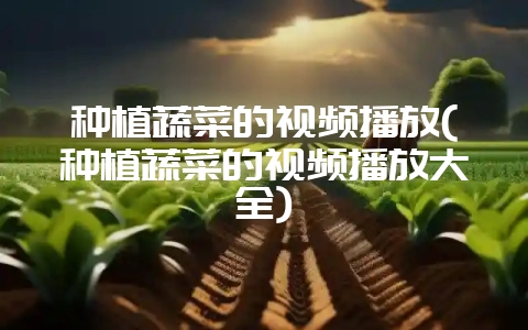 种植蔬菜的视频播放(种植蔬菜的视频播放大全)-会东网