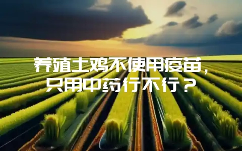 养殖土鸡不使用疫苗，只用中药行不行？-会东网