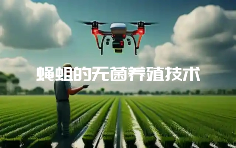蝇蛆的无菌养殖技术-会东网