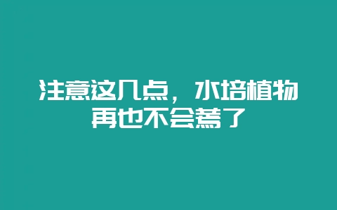 注意这几点，水培植物再也不会蔫了-会东网
