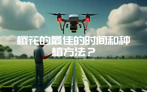 樱花的最佳的时间和种植方法？-会东网