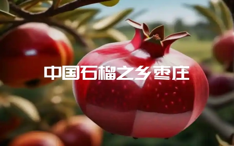 中国石榴之乡枣庄-会东网