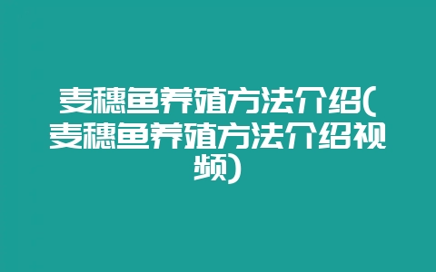 麦穗鱼养殖方法介绍(麦穗鱼养殖方法介绍视频)-会东网