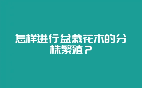 怎样进行盆栽花木的分株繁殖?-会东网