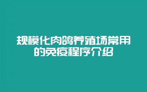 规模化肉鸽养殖场常用的免疫程序介绍-会东网