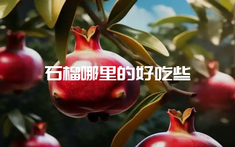 石榴哪里的好吃些插图 石榴哪里的好吃些插图
