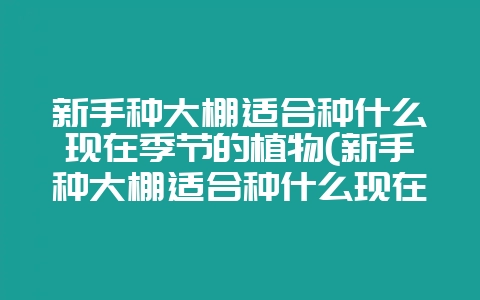 新手种大棚适合种什么现在季节的植物(新手种大棚适合种什么现在季节的植物呢)-会东网