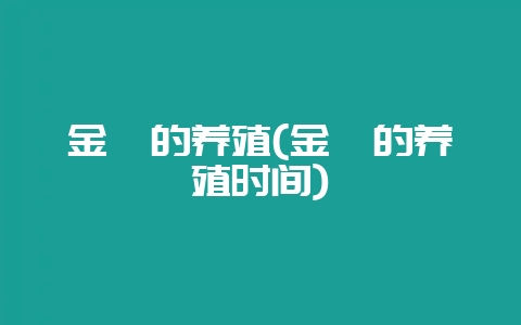金婵的养殖(金婵的养殖时间)-会东网