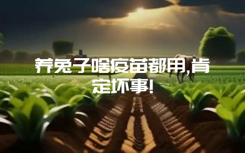 养兔子啥疫苗都用,肯定坏事!-会东网