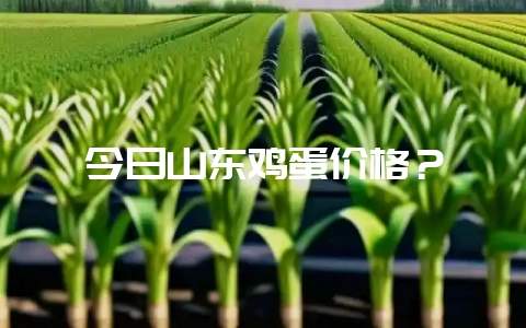 今日山东鸡蛋价格？-会东网