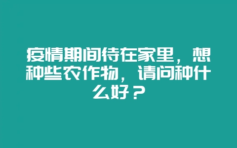 疫情期间待在家里，想种些农作物，请问种什么好？-会东网
