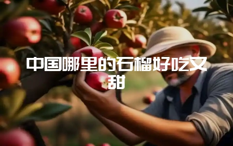 中国哪里的石榴好吃又甜-会东网