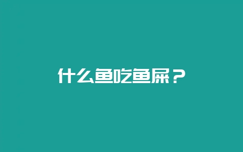 什么鱼吃鱼屎?-会东网