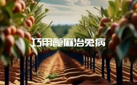 巧用蓖麻治兔病-会东网