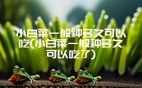 小白菜一般种多久可以吃(小白菜一般种多久可以吃了)-会东网