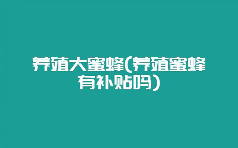 养殖大蜜蜂(养殖蜜蜂有补贴吗)-会东网